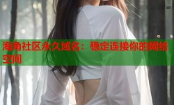 海角社区永久域名：稳定连接你的网络空间