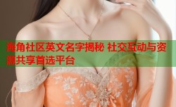 海角社区英文名字揭秘 社交互动与资源共享首选平台