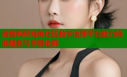 诸暨枫桥海角社区数字治理平台助力精准服务与矛盾化解