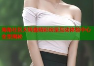 海角社区大转盘精彩纷呈互动体验中心全景揭秘