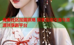 海角社区加盟攻略 探索互动交流与资源共享新平台