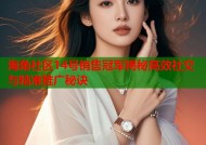 海角社区14号销售冠军揭秘高效社交与精准推广秘诀