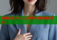 海角社区2023人口洞察与精准服务平台