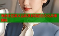 海角社区英文名称及其背后的文化故事揭秘