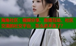海角社区：视频分享、直播互动、社区交流的社交平台，怎么进不去了？