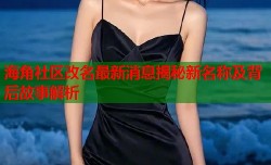 海角社区改名最新消息揭秘新名称及背后故事解析
