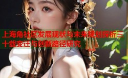 上海角社区发展现状与未来规划探析三十载变迁与创新路径研究