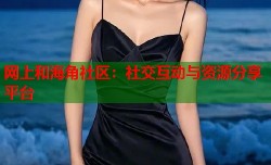 网上和海角社区：社交互动与资源分享平台