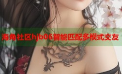 海角社区hjb06智能匹配多模式交友