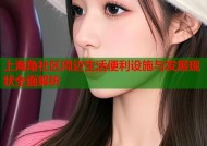 上海角社区周边生活便利设施与发展现状全面解析