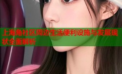 上海角社区周边生活便利设施与发展现状全面解析