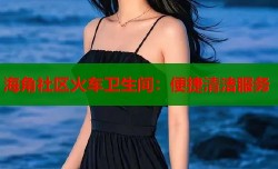 海角社区火车卫生间：便捷清洁服务