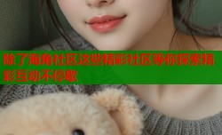除了海角社区这些精彩社区等你探索精彩互动不停歇