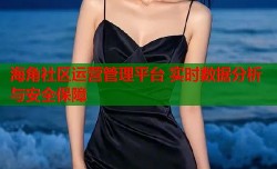 海角社区运营管理平台 实时数据分析与安全保障