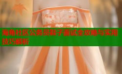 海角社区公务员鞋子面试全攻略与实用技巧解析