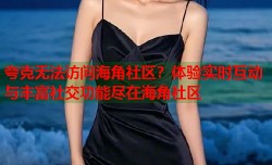 夸克无法访问海角社区？体验实时互动与丰富社交功能尽在海角社区