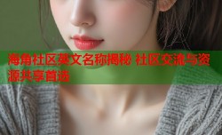 海角社区英文名称揭秘 社区交流与资源共享首选