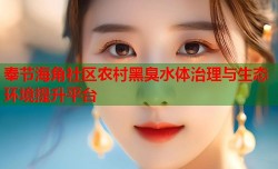 奉节海角社区农村黑臭水体治理与生态环境提升平台