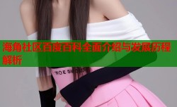 海角社区百度百科全面介绍与发展历程解析