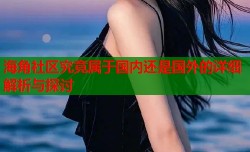 海角社区究竟属于国内还是国外的详细解析与探讨