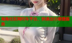 海角社区网约车平台，快速出行便捷服务