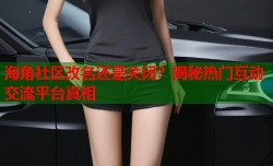 海角社区改名还是关闭？揭秘热门互动交流平台真相