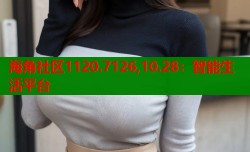 海角社区1120.7126,10.28：智能生活平台