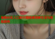 海角社区人口划分图精准洞察生活与发展趋势