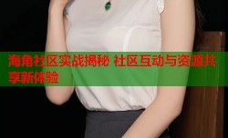 海角社区实战揭秘 社区互动与资源共享新体验