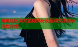 海角社区英文名称揭秘及互动交流核心功能介绍