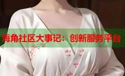 海角社区大事记：创新服务平台