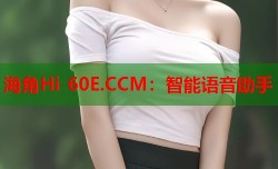 海角Hi 60E.CCM：智能语音助手