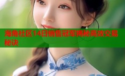 海角社区14日销售冠军揭秘高效交易秘诀