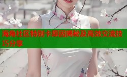 海角社区特别卡原因揭秘及高效交流技巧分享