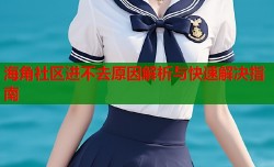海角社区进不去原因解析与快速解决指南