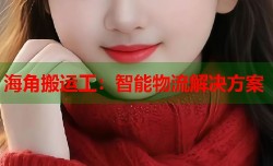 海角搬运工：智能物流解决方案