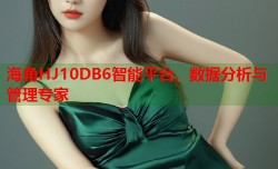 海角HJ10DB6智能平台，数据分析与管理专家