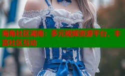 海角社区湖南：多元视频资源平台，丰富社区互动