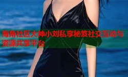 海角社区大神小刘私享秘笈社交互动与资源共享平台