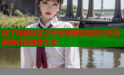 除了海角社区之外还有哪些值得关注的网络社区推荐大全