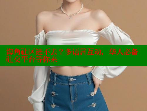 海角社区进不去？多语言互动，华人必备社交平台等你来