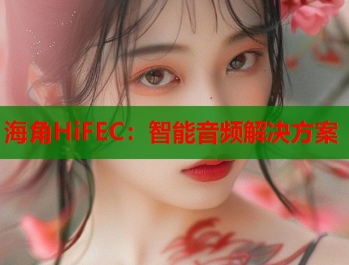 海角HiFEC：智能音频解决方案  第1张