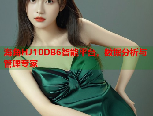 海角HJ10DB6智能平台，数据分析与管理专家  第1张