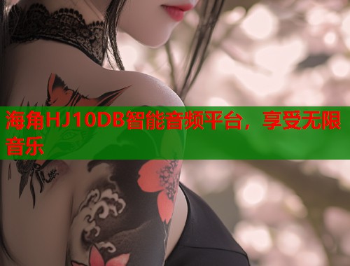 海角HJ10DB智能音频平台，享受无限音乐  第1张