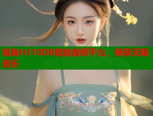 海角HJ10DB智能音频平台，畅享无限音乐  第1张