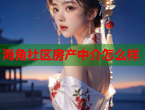 海角社区房产中介怎么样  第1张