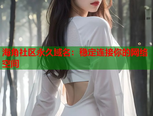 海角社区永久域名：稳定连接你的网络空间  第1张