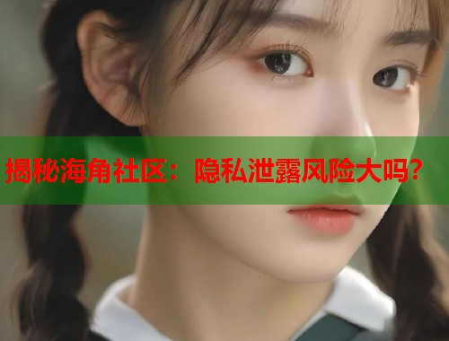 揭秘海角社区：隐私泄露风险大吗？  第1张