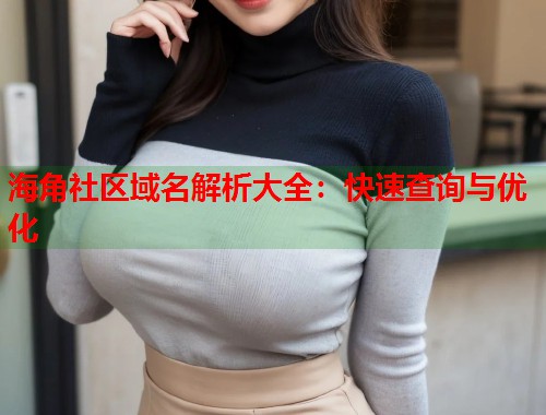 海角社区域名解析大全：快速查询与优化  第1张
