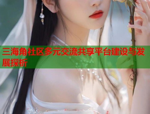 三海角社区多元交流共享平台建设与发展探析  第1张
